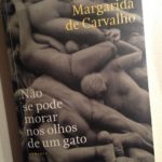 Não se Pode Morar nos Olhos de um Gato, Ana Margarida de Carvalho 9
