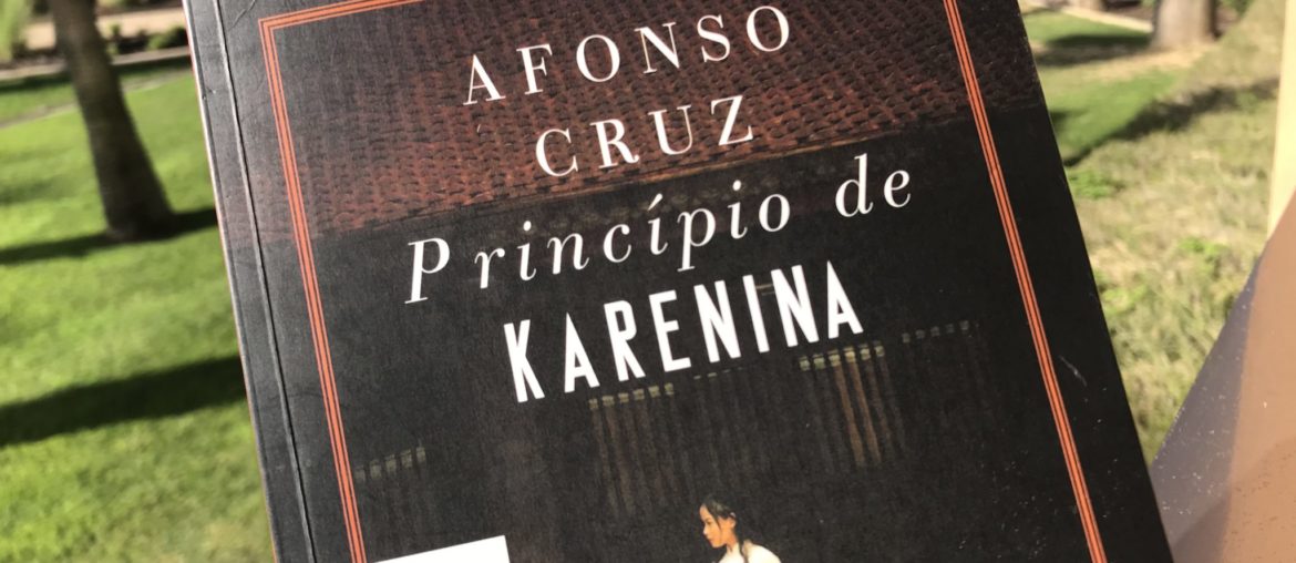 Princípio de Karenina, Afonso Cruz 1