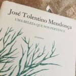 Uma Beleza Que nos Pertence, José Tolentino Mendonça 8